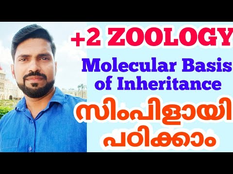 Molecular basis in malayalam | part5 | +2 zoology | NCERT biology | transcription2 | plustwo zoology