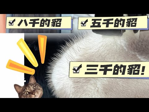 貂皮大衣收購