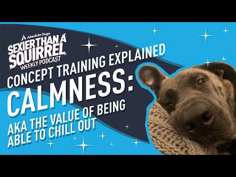 Concept Training Explained: Calmness