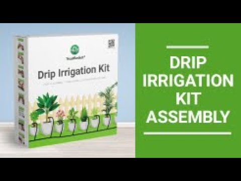 Drip irrigation pipe installation