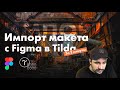 Импорт макета из figma в tilda | Tilda Zero Block