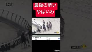 【最後エグすぎ】これは差せるんじゃないかとドキドキしたレース #競馬