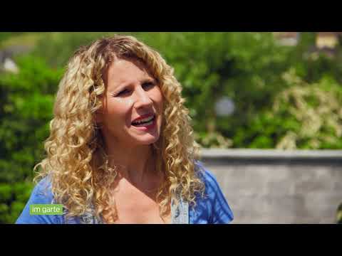 Telebasel-Sendung "im Garte" vom 7.7.2018 mit Arbos Gartenbau, Hölstein