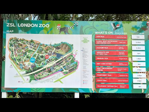 Roaring Wonders and Wildlife Marvels: Dive into the ZSL London Zoo Adventure #zoo #animals #travel
