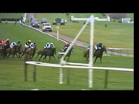 2008 County Hurdle - Cheltenham Festival