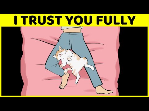These Pet Sleeping Positions Explain Their Relationship With You