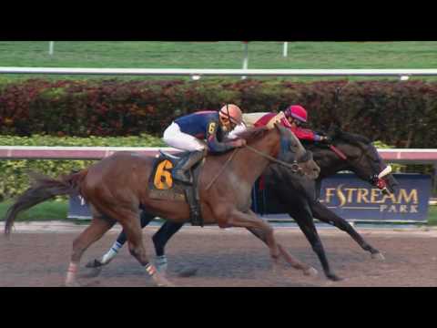 "Biscuits" Is Back In Belmont Sprint Championship