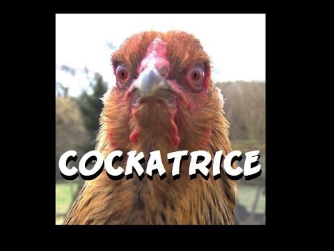Dungeons and Dragons Lore : Cockatrice