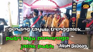 Download lagu gending tayub terop trenggalek putri ayu ponorogo-jalak putih/arum budoyo mp3