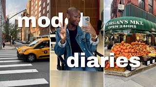 NYC Model Diaries | Apartment Hunting, Work, & Cosmetic Enhancements