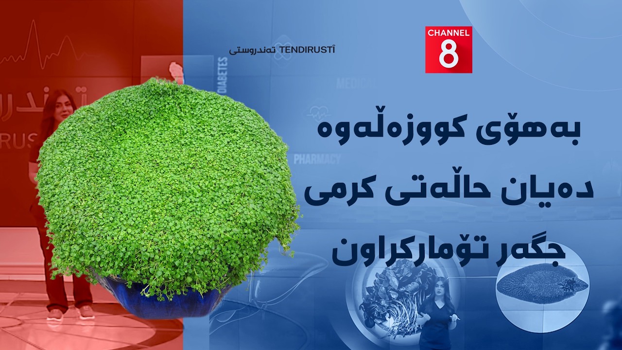 ڤیدیۆ | تەندروستی - بەهۆی کووزەڵەوە دەیان حاڵەتی کرمی جگەر تۆمارکراون
