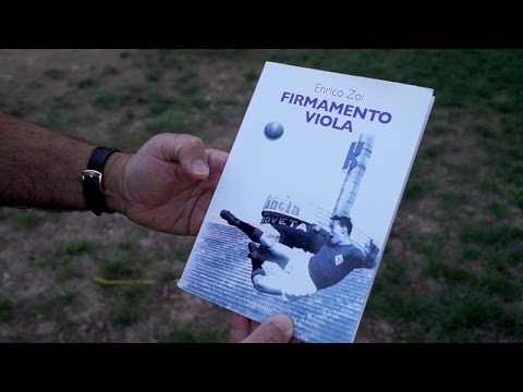 Firmamento Viola, Enrico Zoi