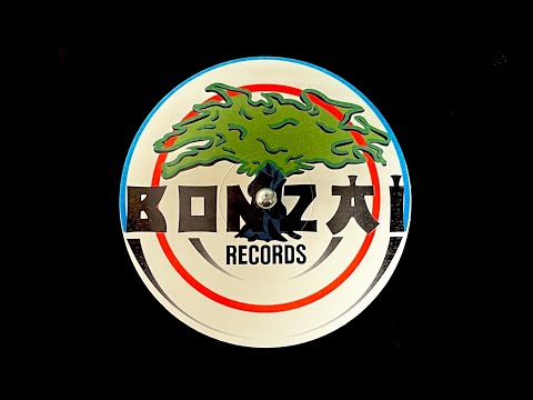 Phrenetic System - After The Meteor (1999)