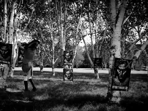 D-A-D - Vote for the Loud - Stig