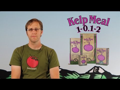 video_thumbnail2