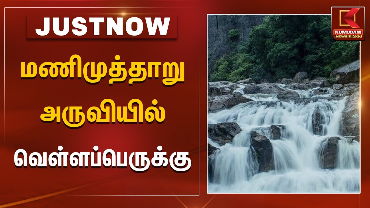 மணிமுத்தாறு அருவியில் வெள்ளப்பெருக்கு | Manimuthar Falls | Kumudam News
