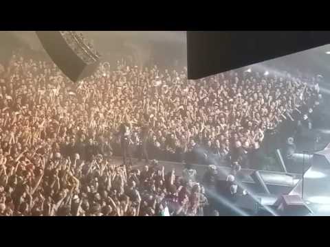 Green Day - Know your enemy (Firenze, 11/01/2017) [Girl on stage clip]