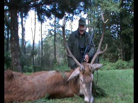 Giganitischer Abschluss mit Kapitalhirschen!