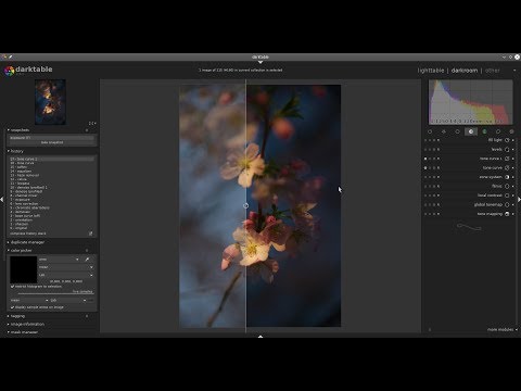 Editing moments with darktable 2.6.1 Episode 6: cherry blossoms