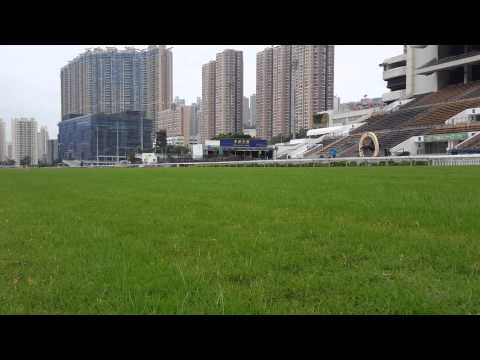 Sha Tin trackwork Tuesday 081215