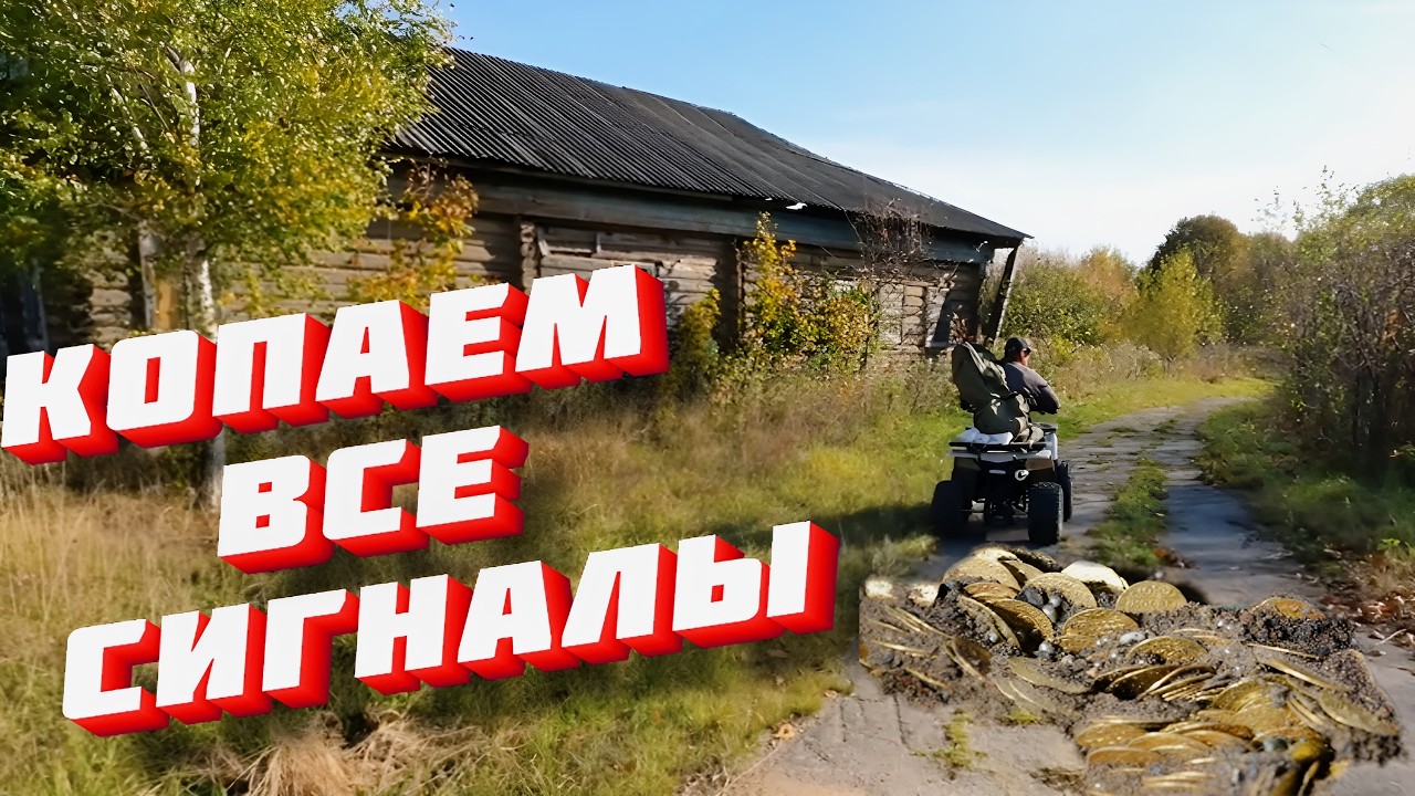 ЕДЕМ КОПАТЬ МОНЕТЫ | ЧТО НАШЛИ НА ПОЛЯХ?