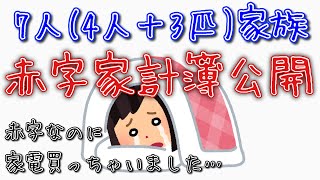 【今回赤字】2024年3月家計簿公開【子ども二人、専業主婦、猫3匹】