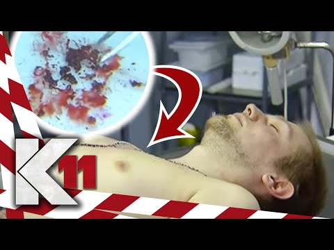 Folgenschweres Geständnis: "Er wurde im K11 vergiftet!!" | 1/2 | K11 - Die neuen Fälle | Sat.1