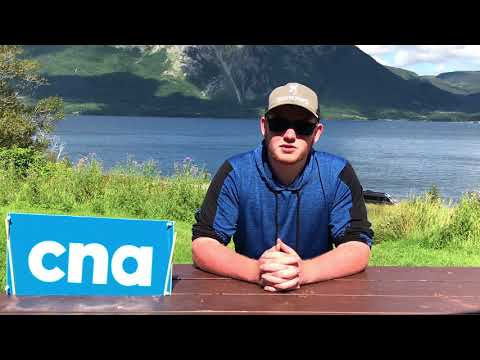 PROWLE: Enhancing the student experience