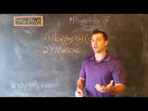 Physiology of Strength: 5 Min Phys