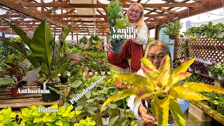 Stunning Nursery With Awesomely Unique Plants (and it’s affordable too)