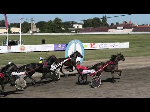 Trka "Ergela Bunford-Subotica" 18.08.2019 Maradona Mar - Dejan Simić