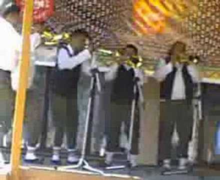 Orkestar Ace Novkovica iz Zaguzanja