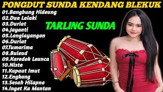 Download lagu PONGDUT RAMPAK GENDANG FULL BLEKUKK 2024 - BANGBUNG HIDEUNG - PONGDUT SUNDA mp3