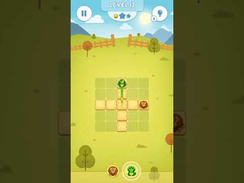 Zoo Maze Puzzle Video