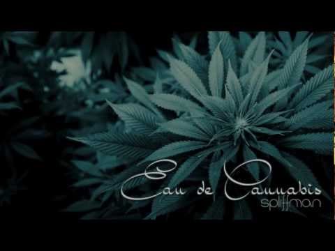 Spliffman - EAU DE CANNABIS (Prod. Spliffman)
