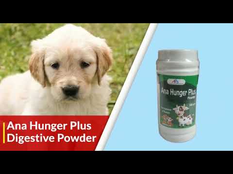 1kg anamin gold powder mineral mixture