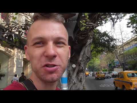 My Expat Diary - India (Kolkata, Indian Wedding, West Bengal) 08/03/2018