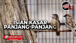 Download lagu Tembakan Kasar Diulang Ulang Materi Kapas Tembak Greja Tarung Cucak Cungkok Super Gacor mp3