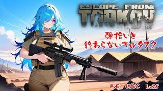 【EFT PvE】ドロップも終わって凍傷も去ったのでぶらぶらアイテム集めしながらキルもしていく！【#28】【USEC LV25】【実況】 #バ美肉おじさん #ホリちゃん #tarkov
