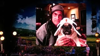 James Taylor: &quot;Sunny Skies&quot; Live @ The Hollywood Bowl 2018 (HD)