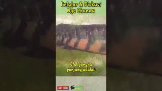 Download lagu UNTUK IKAN CHANNA MARU, PELET ATAU PAKAN ALAMI ?? mp3