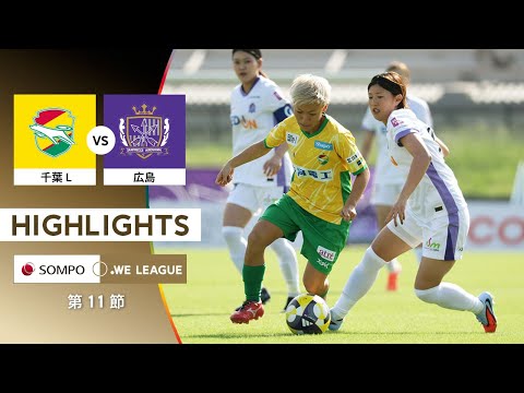 bg-highlight