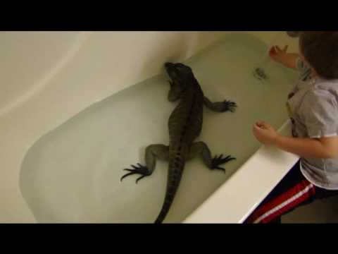 YouTube Video 5UfMkInolac