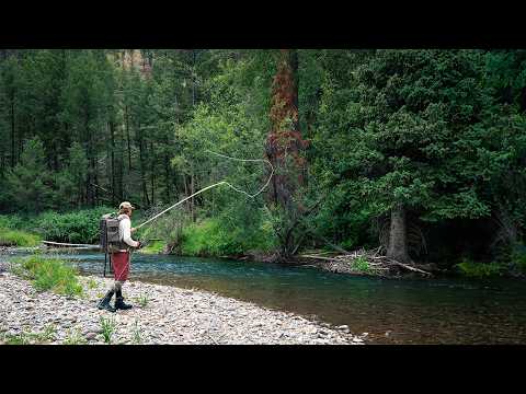 I Discovered A Secret World Full Of Trout