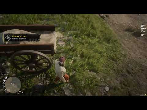 disappearing carcasses  2026 01 16 21 30 00