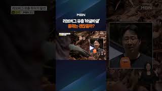 러브버그 유충 '바글바글', 올해 괜찮을까? #shorts #숏톡