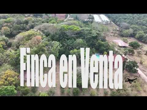 img-video