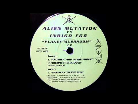 Alien Mutation vs Indigo Egg - Gateway To The Sun