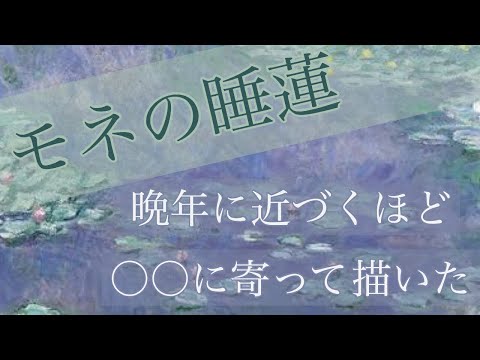 スイレンについて詳しく解説