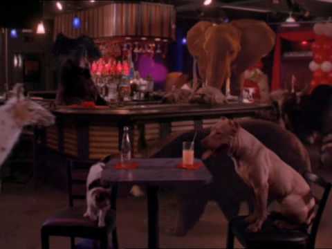 Charmed - I Don't Have A Permit For This Kind Of Party (longer version)